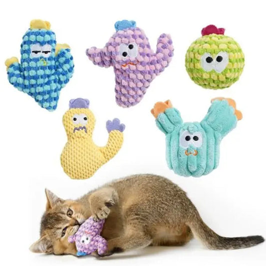 Cactus Cat Fun Pack