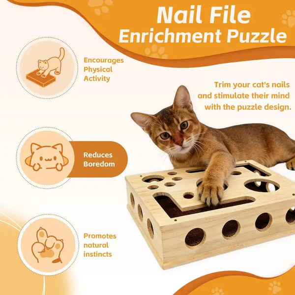 Cat Puzzle Enrichment Box